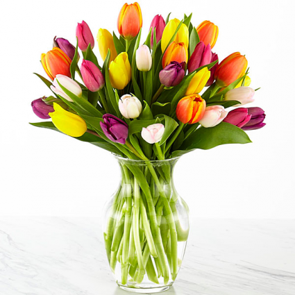 mixed-tulips-vase-arrangement-5aef4af20cdb2_425.jpg.png.03cca108d1090be663e1dd6858bec0fe.png